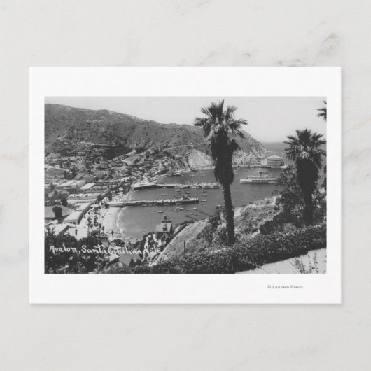 Avalon, CA Santa Catalina Island Aussicht auf Hafe Postkarte (Vorderseite)