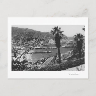Avalon, CA Santa Catalina Island Aussicht auf Hafe Postkarte