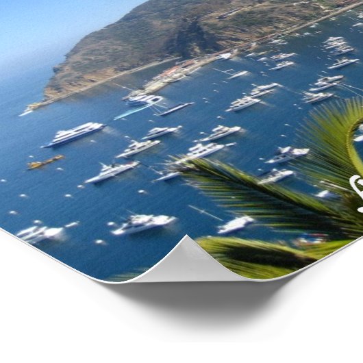 Avalon, Katalina Poster (Ecke)