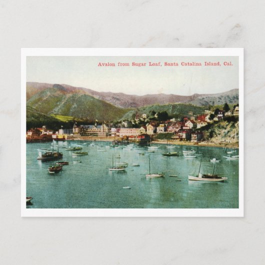 Avalon, Santa Catalina Island, CA Vintag Postkarte (Vorderseite)