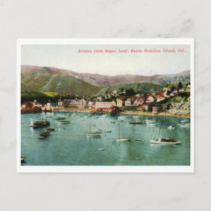 Avalon, Santa Catalina Island, CA Vintage Postkarte