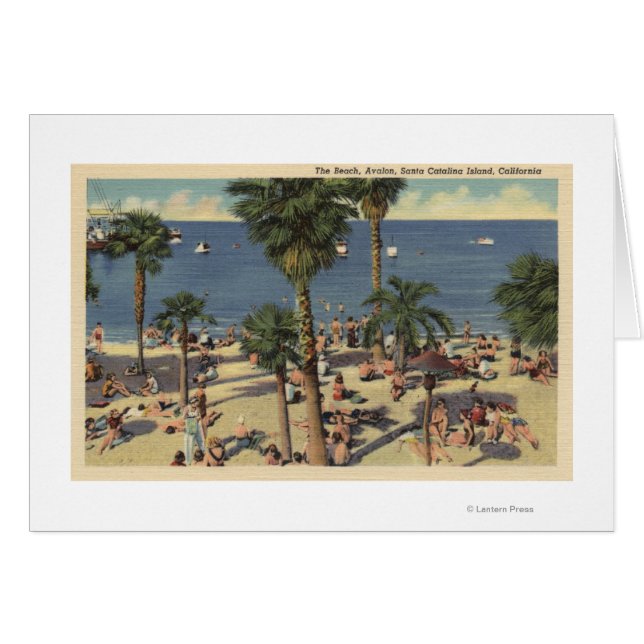 Avalon View Beach mit Sonnenbädern (Vorderseite (Horizontal))