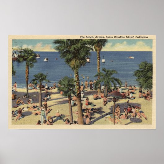 Avalon View Beach mit Sonnenbädern Poster (Vorne)