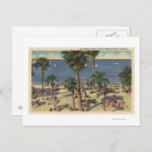 Avalon View Beach mit Sonnenbädern Postkarte (Vorne/Hinten)