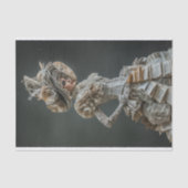 AvantGarde Couture Buchseiten-Entkleidung R 121 Seidenpapier (Vorderseite)