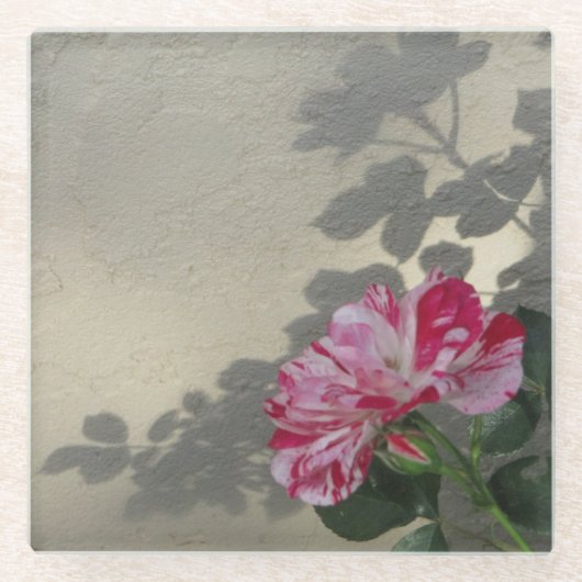 Avantgarde-Rose und Schatten Glasuntersetzer (Vorderseite)