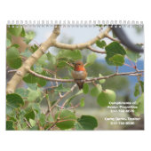 Avatara-Eigenschaften-Natur-Kalender Kalender (Titelbild)