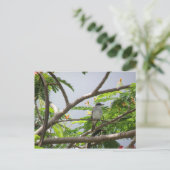 Ave En Cerrillos Postkarte (Stehend Vorderseite)