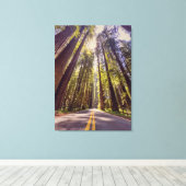 Ave of the Giants Leinwanddruck (Insitu (Holzboden))