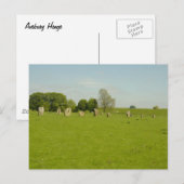 Avebury Henge - Vereinigtes Königreich Postkarte (Vorne/Hinten)