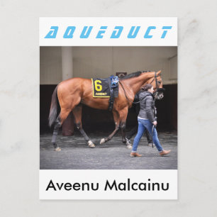 Aveenu Malcainu Postkarte