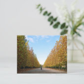 Avenue of Flugzeug Trees: Tokio Postkarte (Stehend Vorderseite)