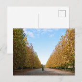 Avenue of Flugzeug Trees: Tokio Postkarte (Vorne/Hinten)