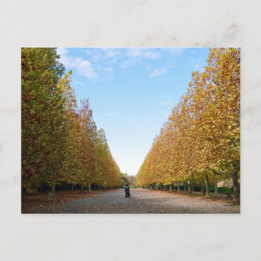 Avenue of Flugzeug Trees: Tokio Postkarte (Vorderseite)