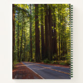 Avenue of Giant Redwood California Notizblock (Rückseite)