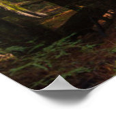 Avenue of Giant Redwood California Poster (Ecke)