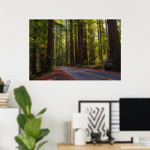 Avenue of Giant Redwood California Poster (Heimbüro)