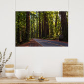 Avenue of Giant Redwood California Poster (Küche)