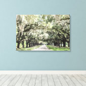 Avenue of Oaks, Boone Hall Plantation Wasserfarbe Leinwanddruck (Insitu (Holzboden))