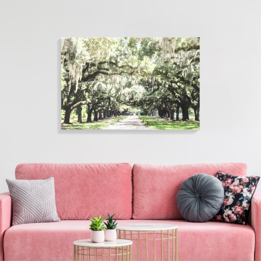 Avenue of Oaks, Boone Hall Plantation Wasserfarbe Leinwanddruck (Insitu (Wohnzimmer))