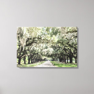 Avenue of Oaks, Boone Hall Plantation Wasserfarbe Leinwanddruck