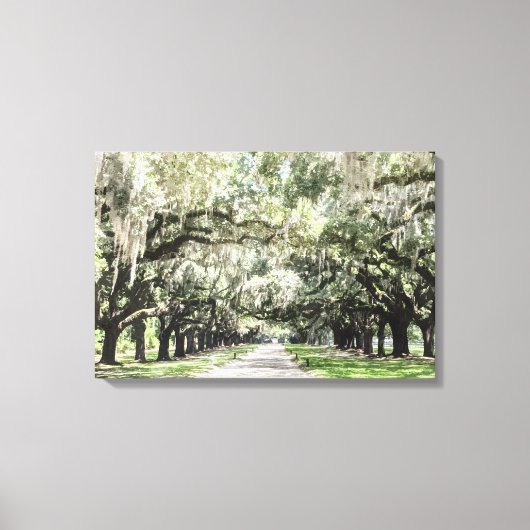 Avenue of Oaks, Boone Hall Plantation Wasserfarbe Leinwanddruck (Vorderseite)