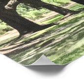 Avenue of Oaks, Boone Hall Plantation Wasserfarbe Poster (Ecke)