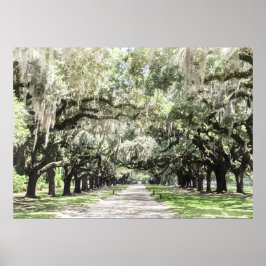 Avenue of Oaks, Boone Hall Plantation Wasserfarbe Poster