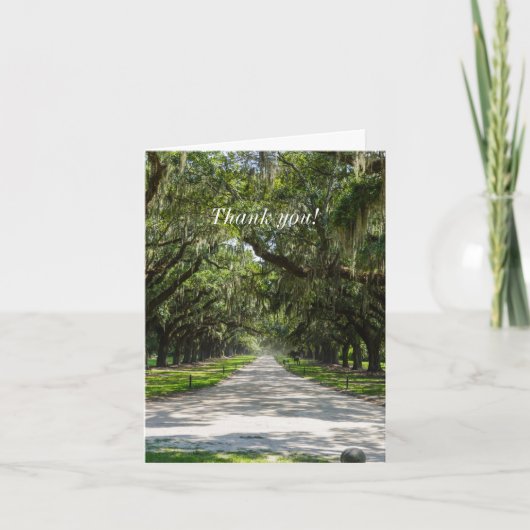 Avenue of Oaks Danke Karte (Vorderseite)