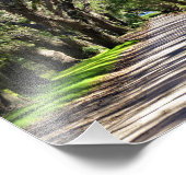 Avenue of Oaks Fotodruck (Ecke)