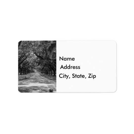 Avenue of Oaks Graustufen Adressaufkleber (Vorne)