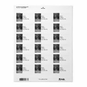 Avenue of Oaks Graustufen Adressaufkleber (Vorne)