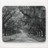 Avenue of Oaks Graustufen Mousepad (Vorne)