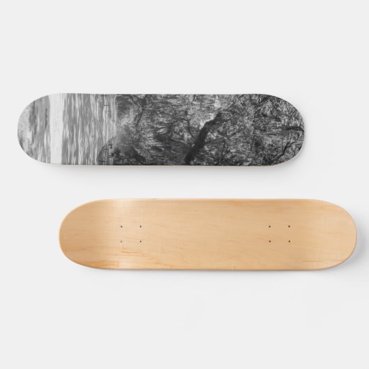 Avenue of Oaks Graustufen Skateboard (Horizontal)