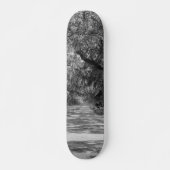 Avenue of Oaks Graustufen Skateboard (Vorne)