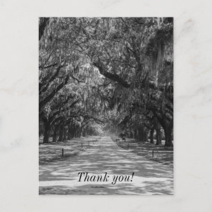 Avenue of Oaks Graustufen Vielen Dank Postcard Postkarte