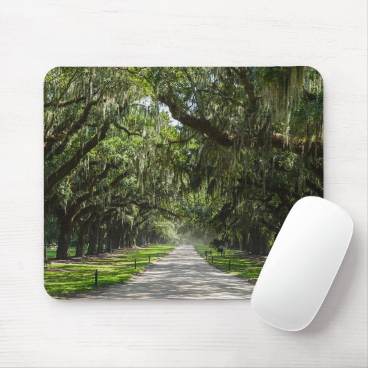 Avenue of Oaks Mousepad (Mit Mouse)