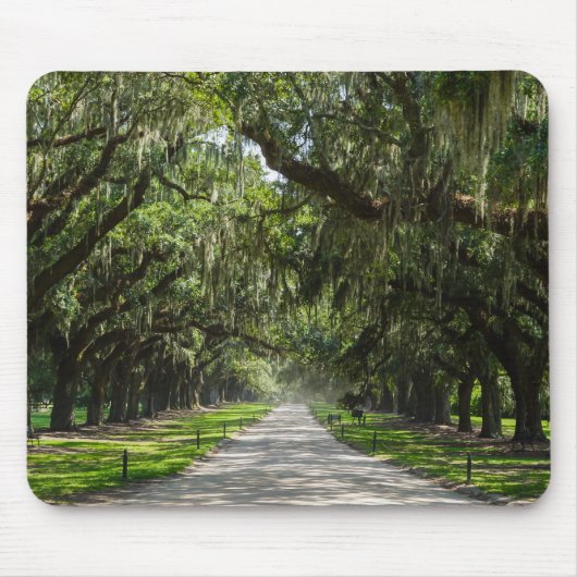 Avenue of Oaks Mousepad (Vorne)