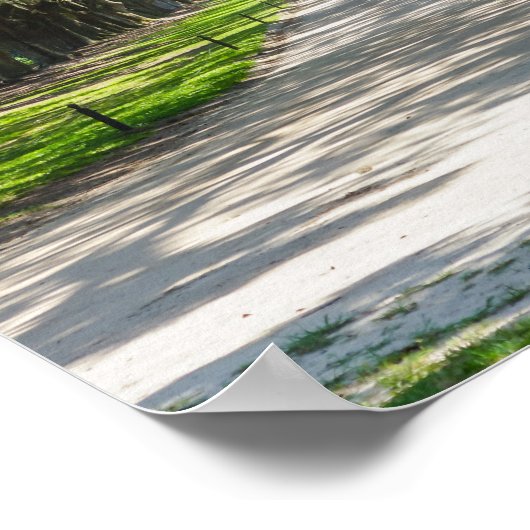 Avenue of Oaks Poster (Ecke)