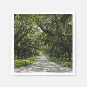 Avenue of Oaks Serviette