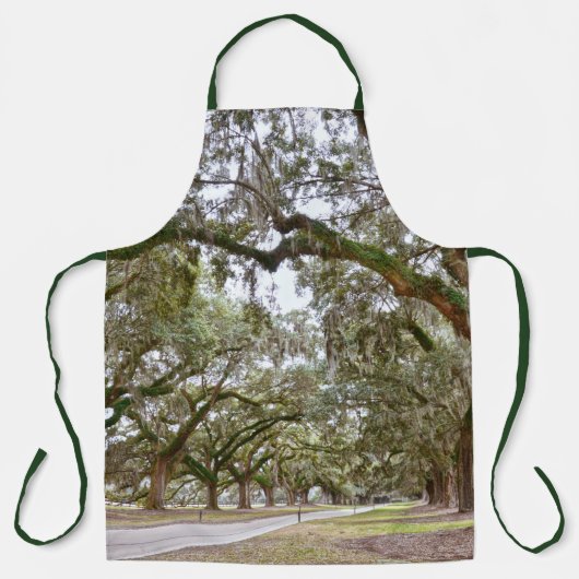 Avenue of Oaks, South Carolina Schürze (Vorderseite)