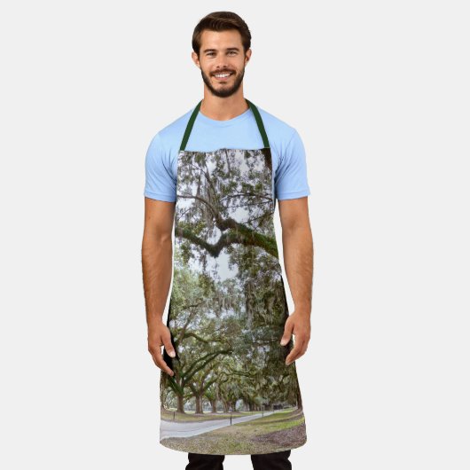 Avenue of Oaks, South Carolina Schürze (Getragen)