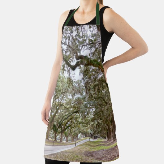 Avenue of Oaks, South Carolina Schürze (InSitu)