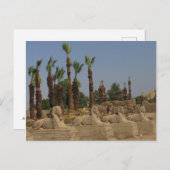 Avenue of Sphinxes - Altes Ägypten Postkarte (Vorne/Hinten)