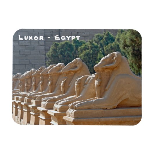 Avenue of Sphinxes in Karnak Temple - Ägypten Magnet (Horizontal)