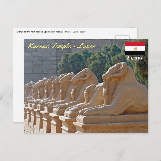 Avenue of Sphinxes in Karnak Temple - Ägypten Postkarte (Vorne/Hinten)