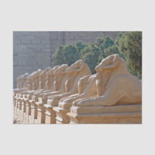 Avenue of Sphinxes in Karnak Temple - Ägypten Seidenpapier