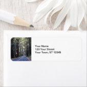 Avenue of the Giants - Humboldt Redwoods Staat Par (Insitu)