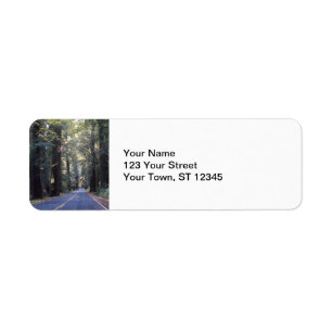 Avenue of the Giants - Humboldt Redwoods Staat Par