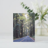 Avenue of the Giants - Humboldt Redwoods Staat Par Postkarte (Stehend Vorderseite)